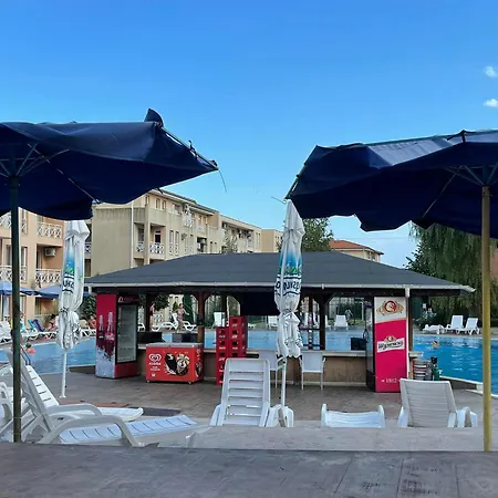 Double Cherry 阳光海滩